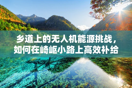 乡道上的无人机能源挑战，如何在崎岖小路上高效补给？