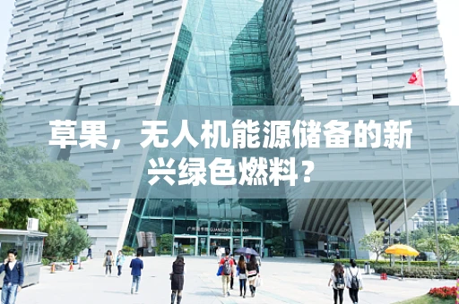草果，无人机能源储备的新兴绿色燃料？