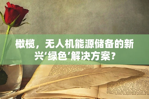 橄榄，无人机能源储备的新兴‘绿色’解决方案？