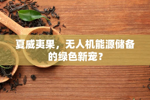 夏威夷果，无人机能源储备的绿色新宠？