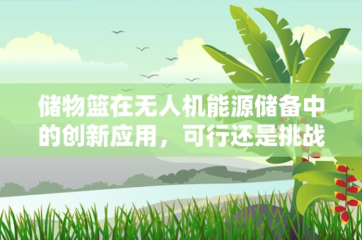 储物篮在无人机能源储备中的创新应用，可行还是挑战？