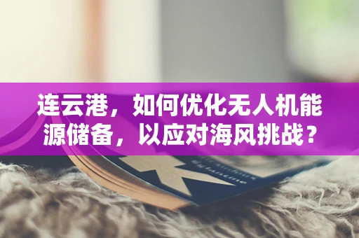 连云港，如何优化无人机能源储备，以应对海风挑战？