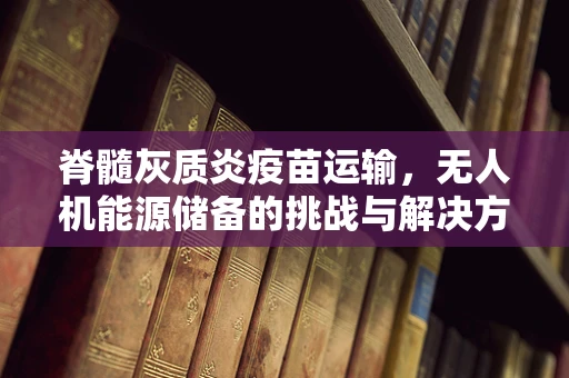 脊髓灰质炎疫苗运输，无人机能源储备的挑战与解决方案