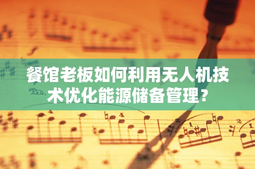 餐馆老板如何利用无人机技术优化能源储备管理？