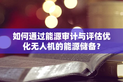 如何通过能源审计与评估优化无人机的能源储备？