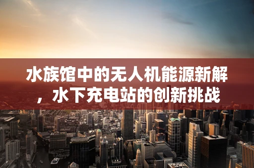 水族馆中的无人机能源新解，水下充电站的创新挑战