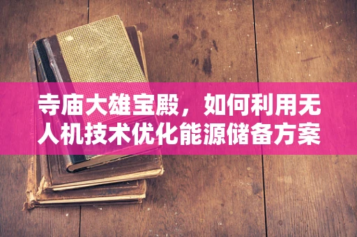 寺庙大雄宝殿，如何利用无人机技术优化能源储备方案？