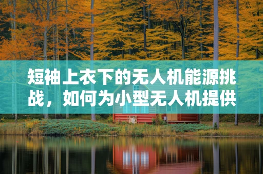 短袖上衣下的无人机能源挑战，如何为小型无人机提供持久动力？