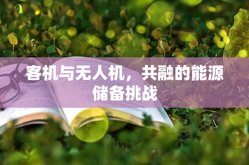 客机与无人机，共融的能源储备挑战