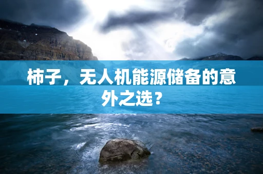 柿子，无人机能源储备的意外之选？