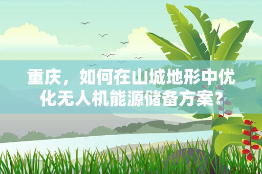 重庆，如何在山城地形中优化无人机能源储备方案？