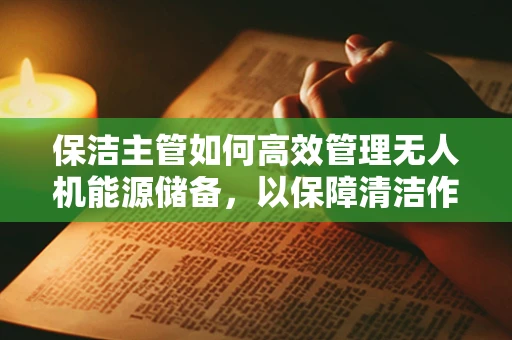保洁主管如何高效管理无人机能源储备，以保障清洁作业的连续性？