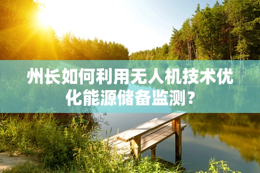 州长如何利用无人机技术优化能源储备监测？