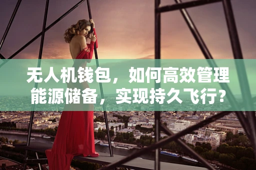 无人机钱包，如何高效管理能源储备，实现持久飞行？