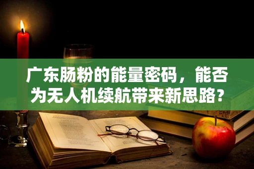 广东肠粉的能量密码，能否为无人机续航带来新思路？