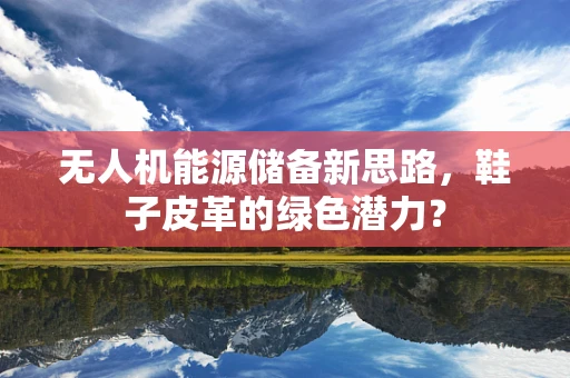 无人机能源储备新思路，鞋子皮革的绿色潜力？