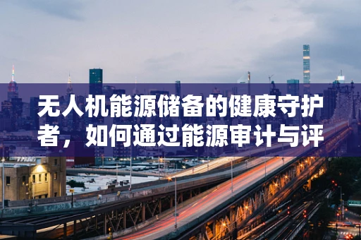 无人机能源储备的健康守护者，如何通过能源审计与评估确保续航无忧？