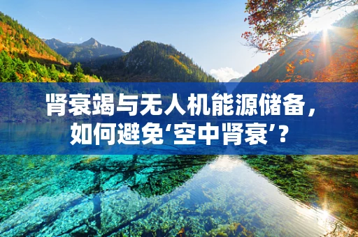 肾衰竭与无人机能源储备，如何避免‘空中肾衰’？