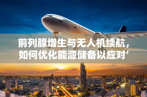 前列腺增生与无人机续航，如何优化能源储备以应对‘空中膀胱’的挑战？