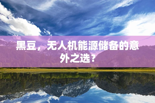 黑豆，无人机能源储备的意外之选？