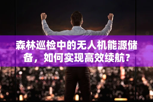森林巡检中的无人机能源储备，如何实现高效续航？