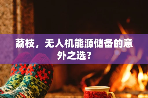 荔枝，无人机能源储备的意外之选？