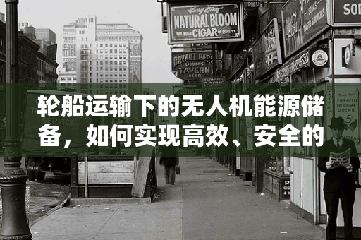 轮船运输下的无人机能源储备，如何实现高效、安全的能源补给？