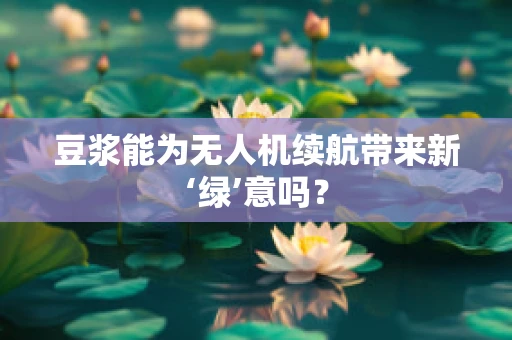 豆浆能为无人机续航带来新‘绿’意吗？