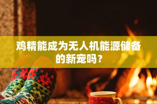 鸡精能成为无人机能源储备的新宠吗？