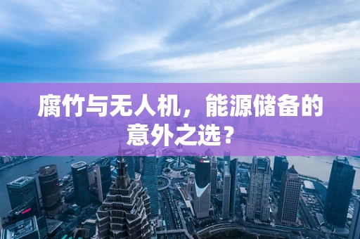 腐竹与无人机，能源储备的意外之选？