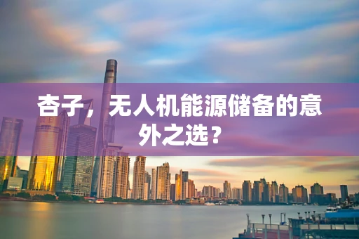 杏子，无人机能源储备的意外之选？