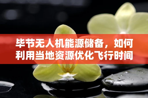 毕节无人机能源储备，如何利用当地资源优化飞行时间？