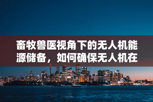 畜牧兽医视角下的无人机能源储备，如何确保无人机在牧场巡检中的持久续航？