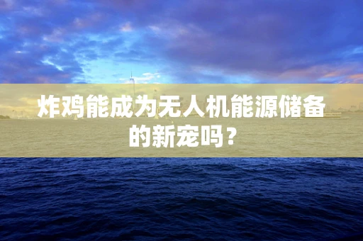 炸鸡能成为无人机能源储备的新宠吗？