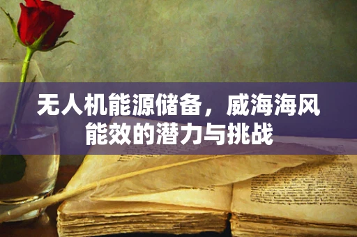 无人机能源储备，威海海风能效的潜力与挑战