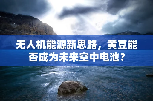 无人机能源新思路，黄豆能否成为未来空中电池？