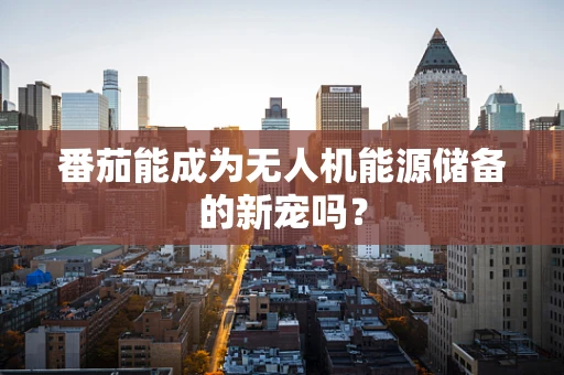 番茄能成为无人机能源储备的新宠吗？