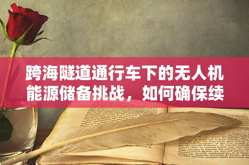 跨海隧道通行车下的无人机能源储备挑战，如何确保续航与安全？