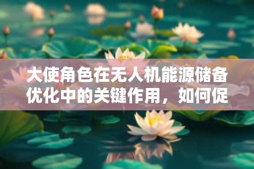大使角色在无人机能源储备优化中的关键作用，如何促进跨国技术交流与资源整合？