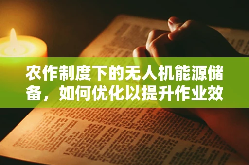 农作制度下的无人机能源储备，如何优化以提升作业效率？