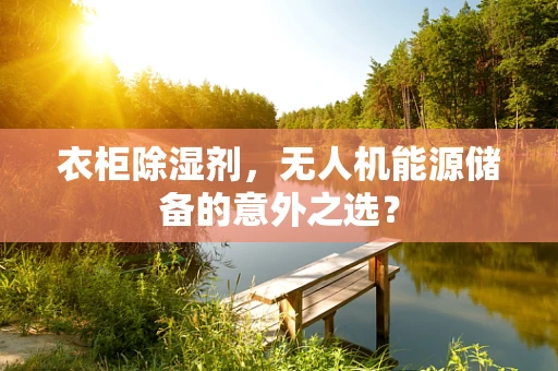 衣柜除湿剂，无人机能源储备的意外之选？