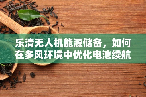 乐清无人机能源储备，如何在多风环境中优化电池续航？