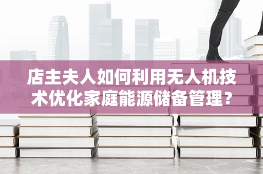 店主夫人如何利用无人机技术优化家庭能源储备管理？