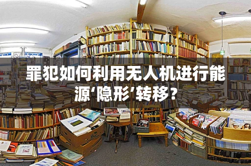 罪犯如何利用无人机进行能源‘隐形’转移？