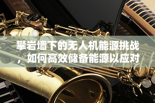 攀岩墙下的无人机能源挑战，如何高效储备能源以应对极端环境？
