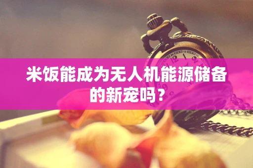 米饭能成为无人机能源储备的新宠吗？