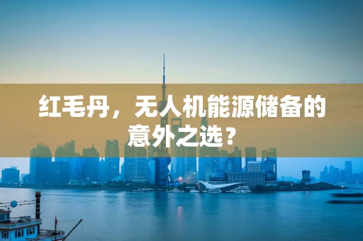红毛丹，无人机能源储备的意外之选？