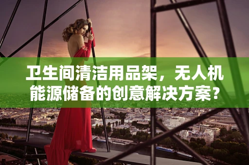 卫生间清洁用品架，无人机能源储备的创意解决方案？