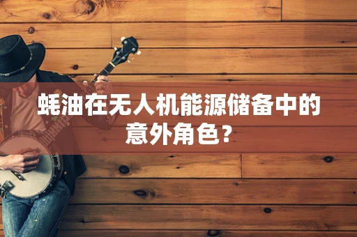 蚝油在无人机能源储备中的意外角色？