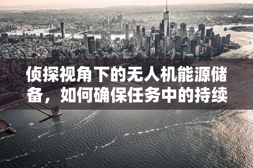 侦探视角下的无人机能源储备，如何确保任务中的持续供电？